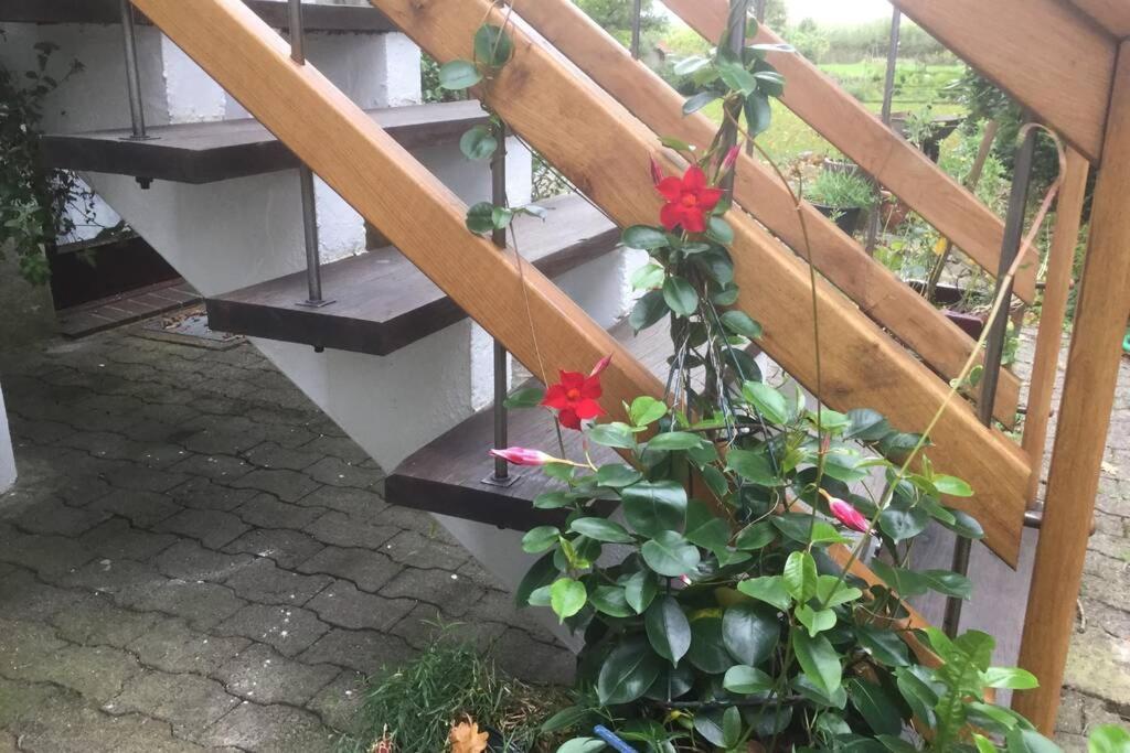 Gemuetliches Nest Fuer Zwei Personen Zum Ausspannen Beverstedt Esterno foto
