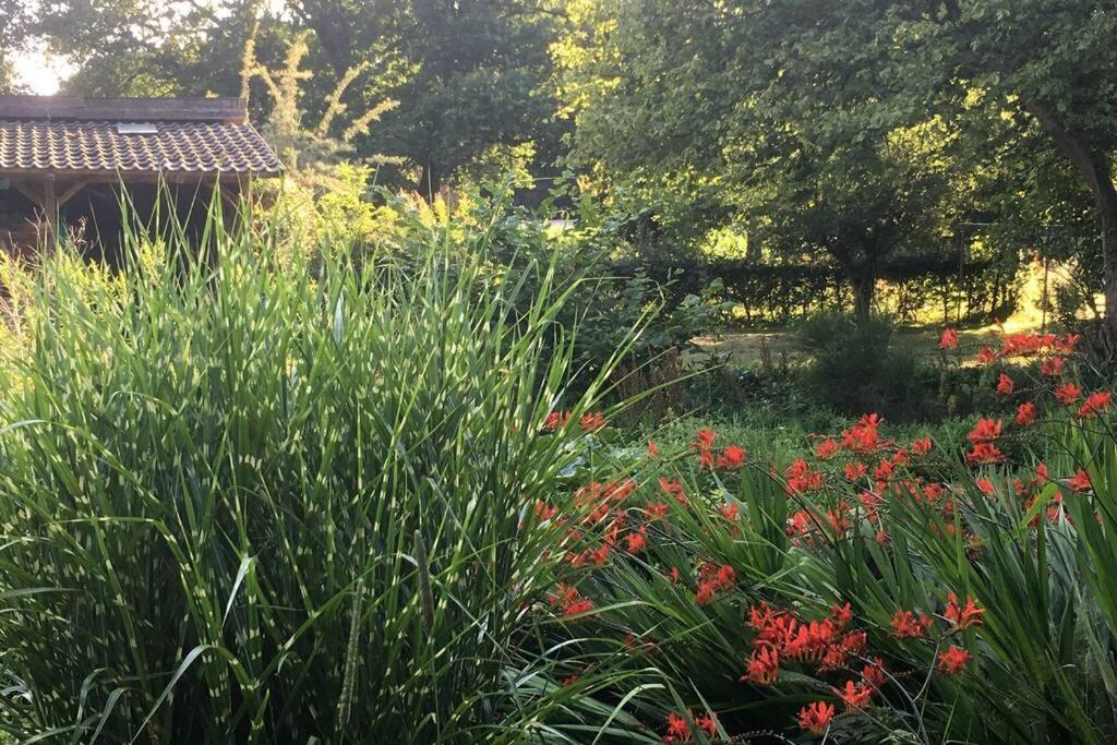 Gemuetliches Nest Fuer Zwei Personen Zum Ausspannen Beverstedt Esterno foto